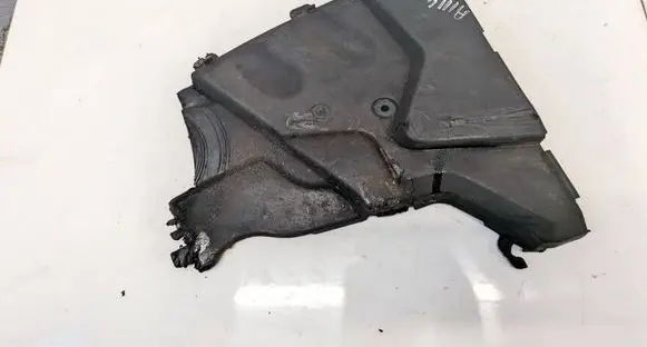 Nissan Qashqai Timing belt guard (cover) 8200294738