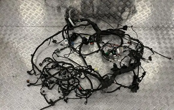 Nissan Juke II F16 Engine installation wiring loom PU16172