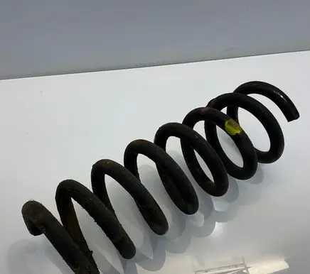 Rear coil spring