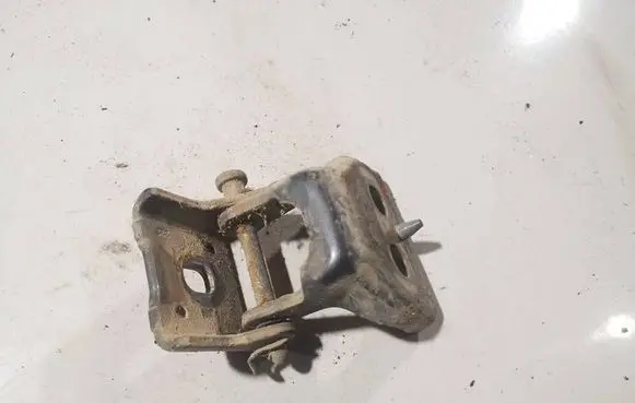 Peugeot 307 Rear door lower hinge 