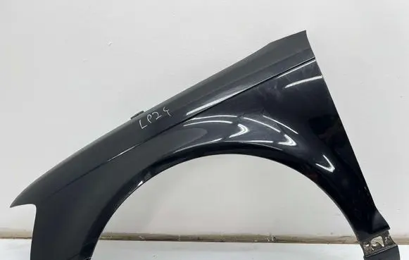 Fender