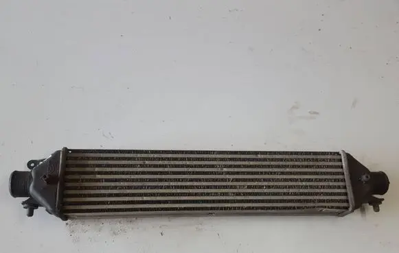 Fiat Doblo Intercooler radiator 896255500