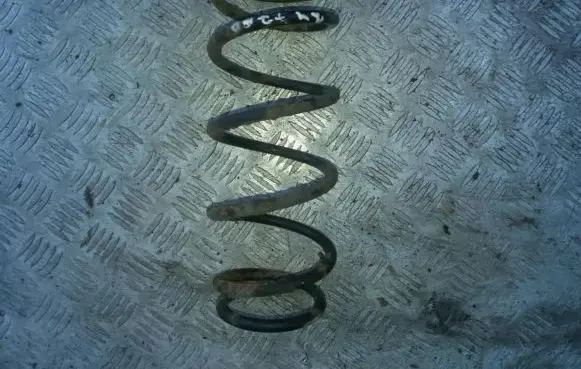 Suzuki Alto Rear coil spring