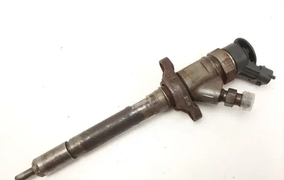 Peugeot Bipper Fuel injector 0445110311 620033