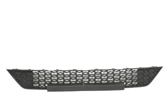 Skoda Octavia Mk4 Front bumper lower grill 5E3853677B 1248410001 3200201