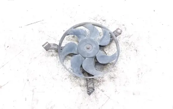 Opel Sintra Electric radiator cooling fan