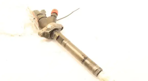 Peugeot Partner Fuel injector 0445110239