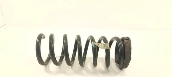Rear coil spring