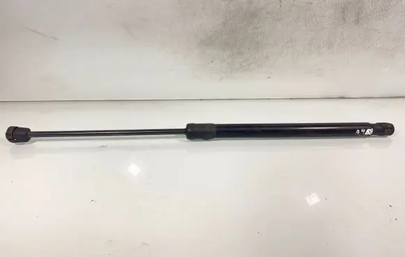 Tailgate/trunk strut/damper