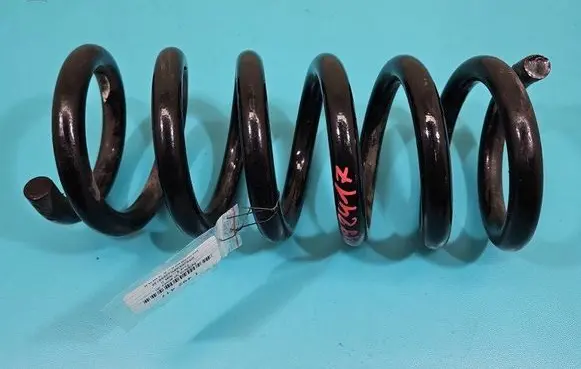 Rear coil spring