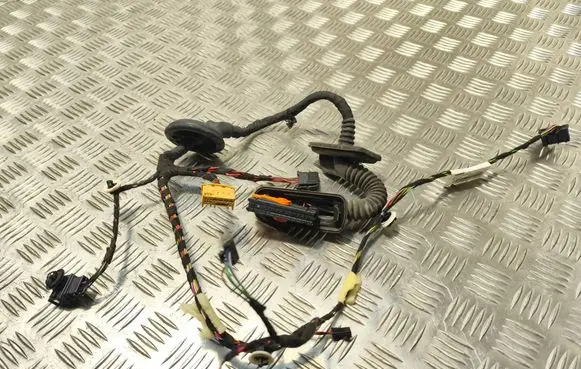 Front door wiring loom