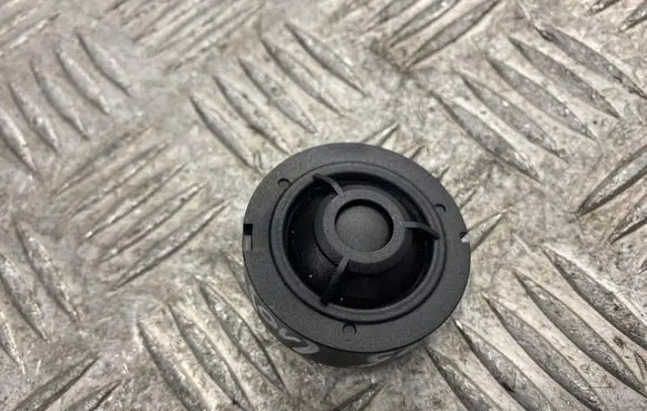Front door high frequency speaker