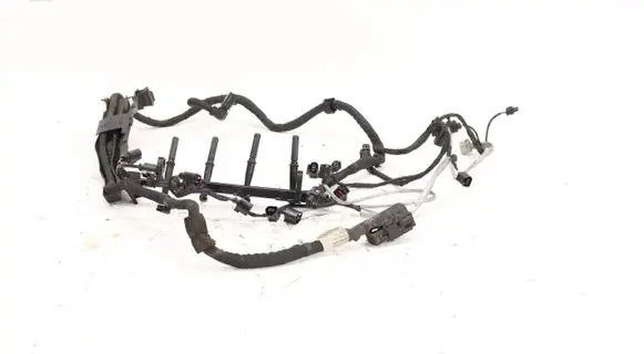 Other wiring loom