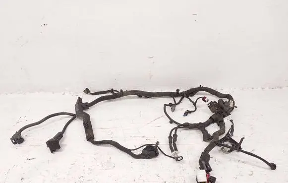 Hyundai Kona I Engine installation wiring loom 91660K4510