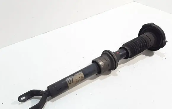 Mercedes-Benz CLS C219 Front shock absorber/damper A2193200713