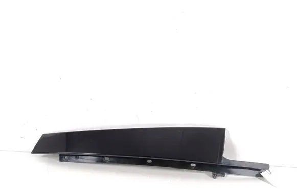 Other rear door trim element