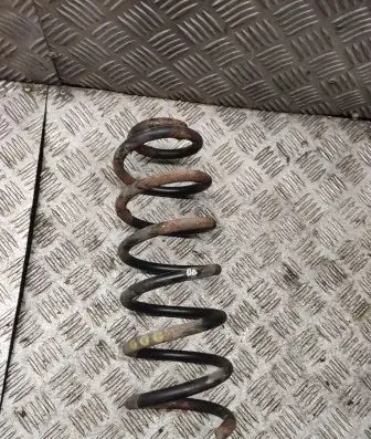 Volkswagen PASSAT B6 Rear coil spring