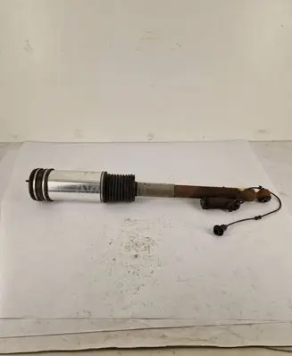 Mercedes-Benz S W220 Rear shock absorber/damper AS2194