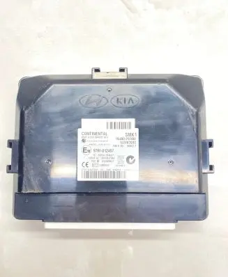 Hyundai Santa Fe Door central lock control unit/module 954802W300 97RI012457 5WY8701C