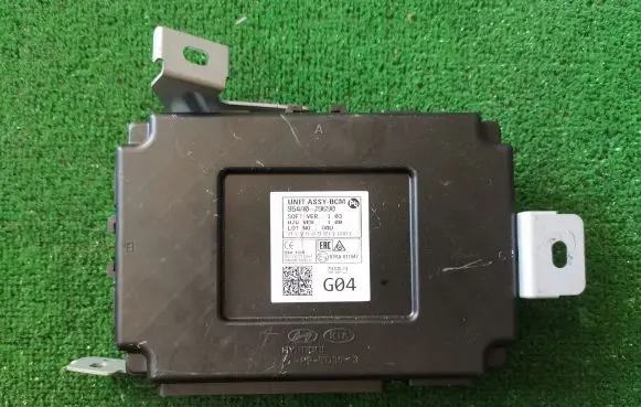 Hyundai Kona I Other control units/modules 954A0J9690