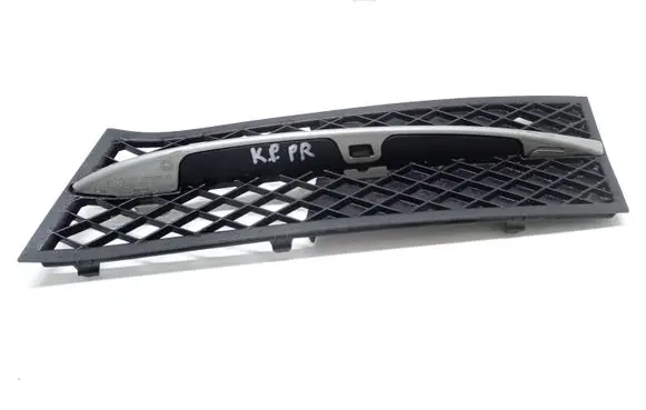 BMW 5 F10 F11 Front bumper lower grill 11460915 5111723185904 5111720069909