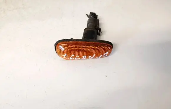 Front fender indicator light