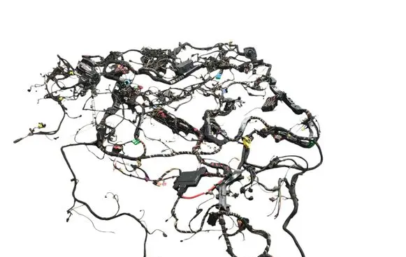Porsche Panamera (971) Wiring harness 