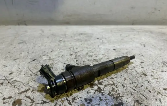Peugeot Expert Fuel injector 0445110566