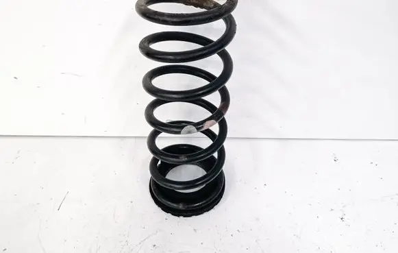 Rear coil spring