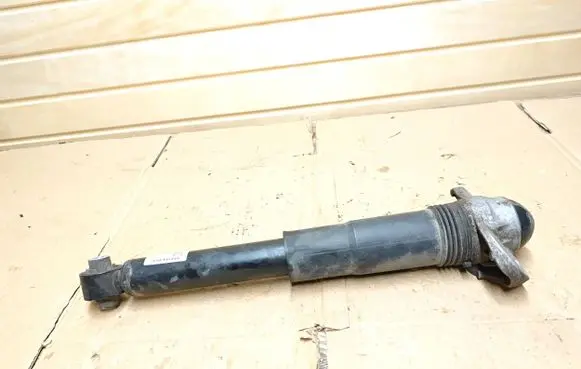 Cupra Born Rear shock absorber/damper 1EA512011AL