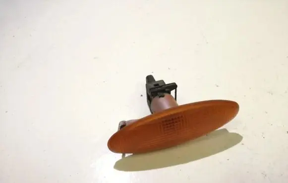 Front fender indicator light