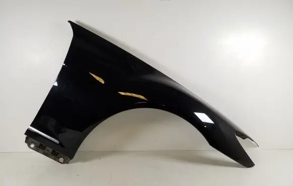 Mercedes-Benz CL C216 Fender
