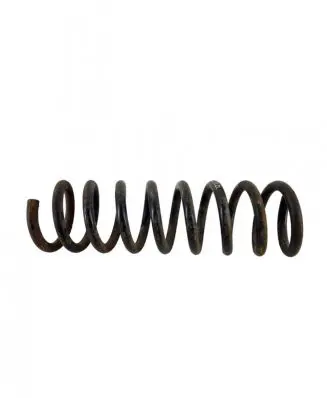 Mercedes-Benz C W202 Front coil spring