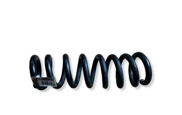 Dodge Charger Rear coil spring 05168889AC