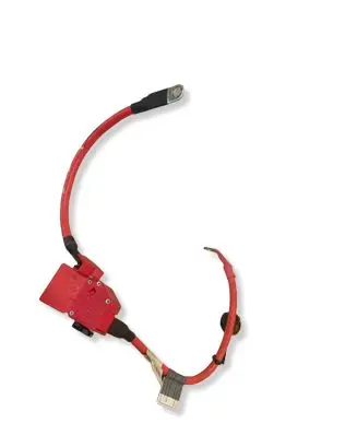 BMW 4 F36 Gran coupe Positive cable (battery) 9259424 ENC261 9259425