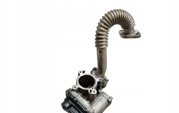 Renault Megane I EGR thermostat 8200693739