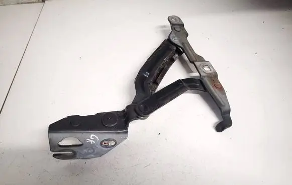 Tailgate/trunk/boot hinge