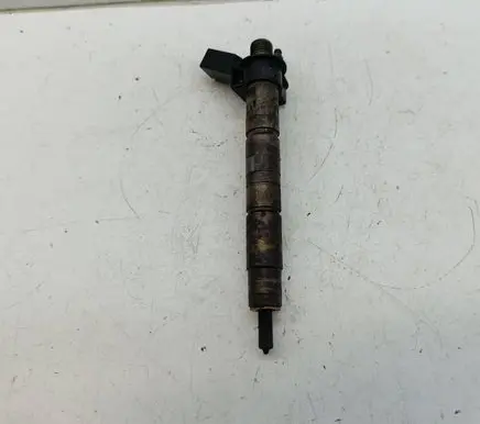 BMW 5 E60 E61 Fuel injector 7797877