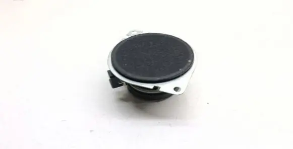 Panel speaker
