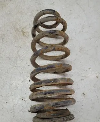 Volkswagen PASSAT B6 Rear coil spring