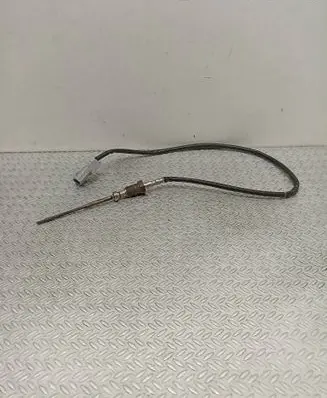 Renault Kangoo II Exhaust gas temperature sensor 226401632R 0030010881