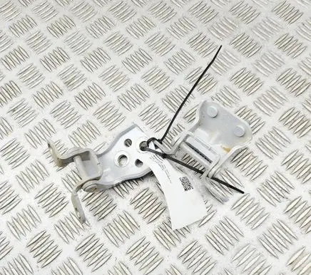 BYD Atto 3 Rear door hinge set 1317483200 SC2E6206109