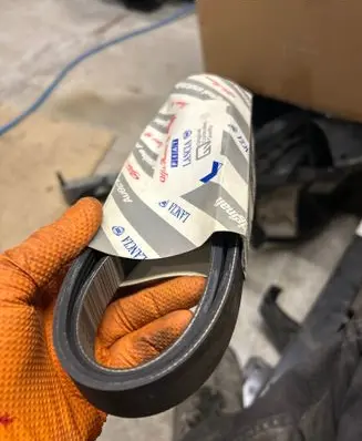 Alfa Romeo 147 Alternator belt 60662969 7425312 8200464475