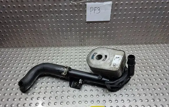Nissan Qashqai Oil filter mounting bracket S27725889 213059324R