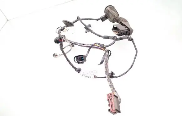 Rear door wiring loom