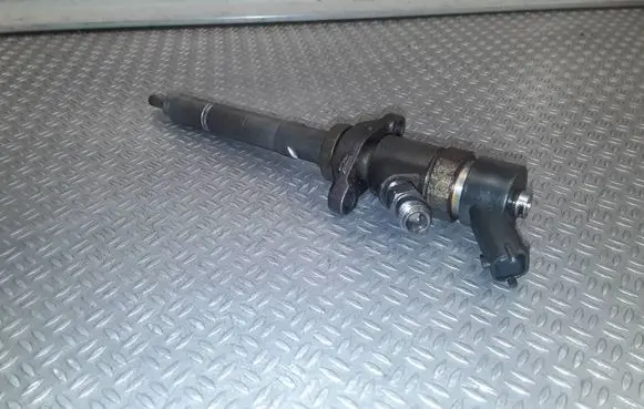 Citroen C4 I Picasso Fuel injector 0445110259
