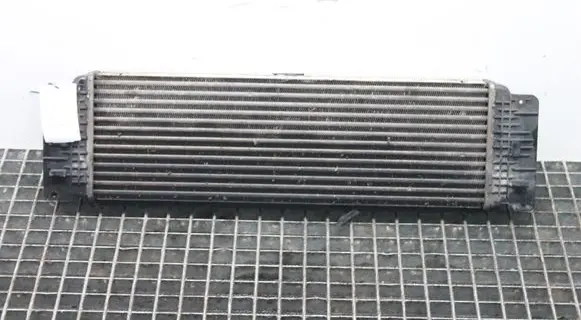 Volkswagen Crafter Intercooler radiator A9065010201 2E0145804A