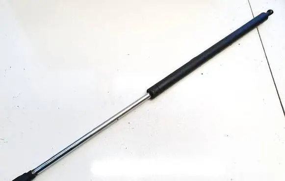 Tailgate/trunk strut/damper