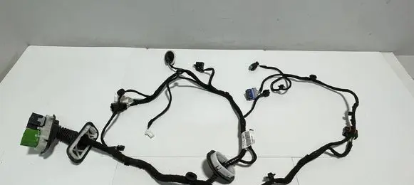 Front door wiring loom