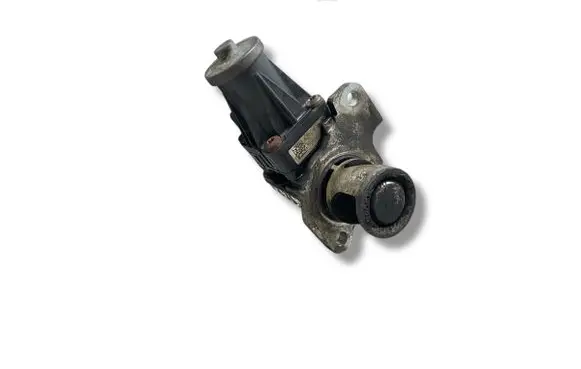 Renault Kangoo II EGR valve 8200129863 H8200129863
